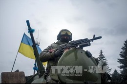 Mỹ chưa quyết định cung cấp vũ khí sát thương cho Ukraine
